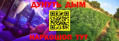 прущие грибы Балаково